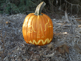 Formal,  Nipomo Pumpkin Patch best carving idea
